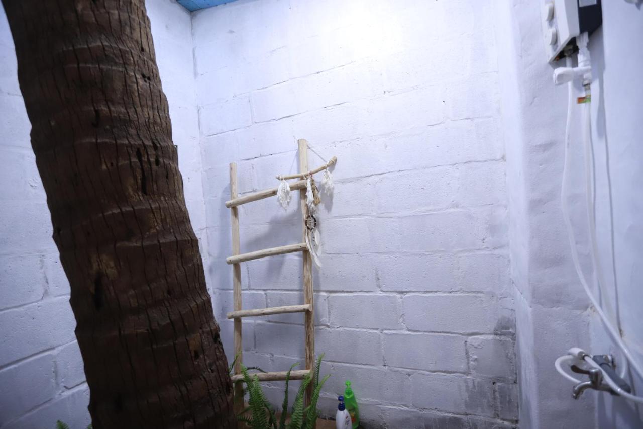 Bunk Bed in Mixed Dormitory Room,1066393135:JPEG