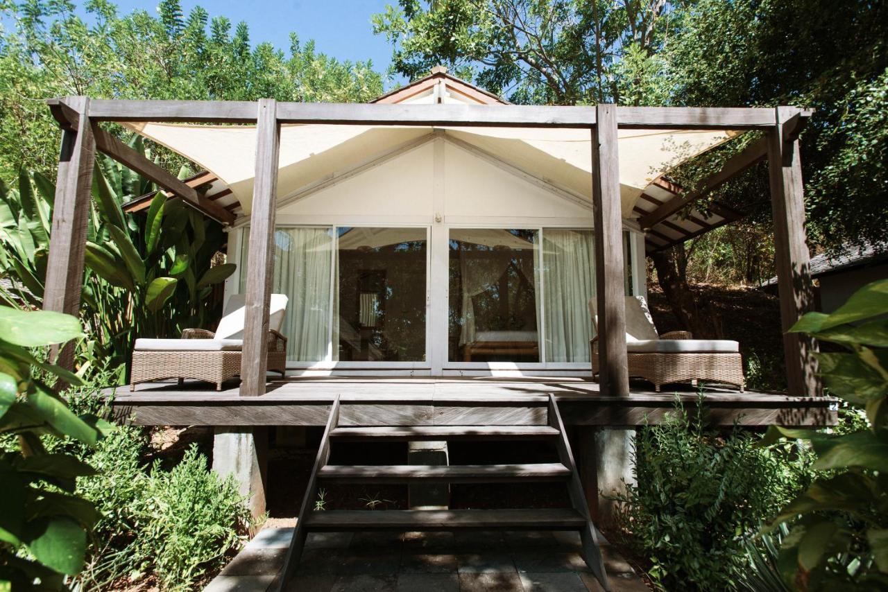 Bungalow Tree Canopy