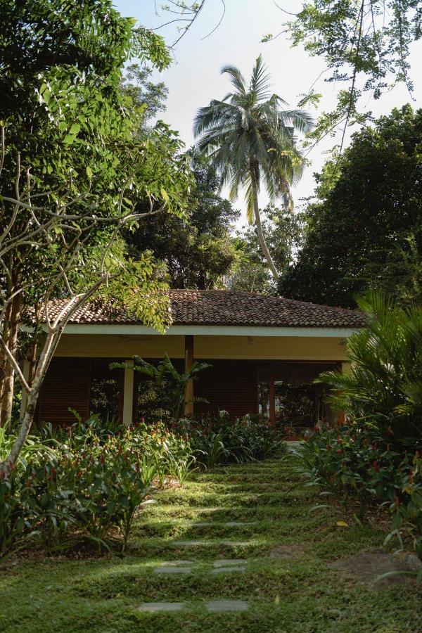 Cottage with Lake View,1316992090:JPEG