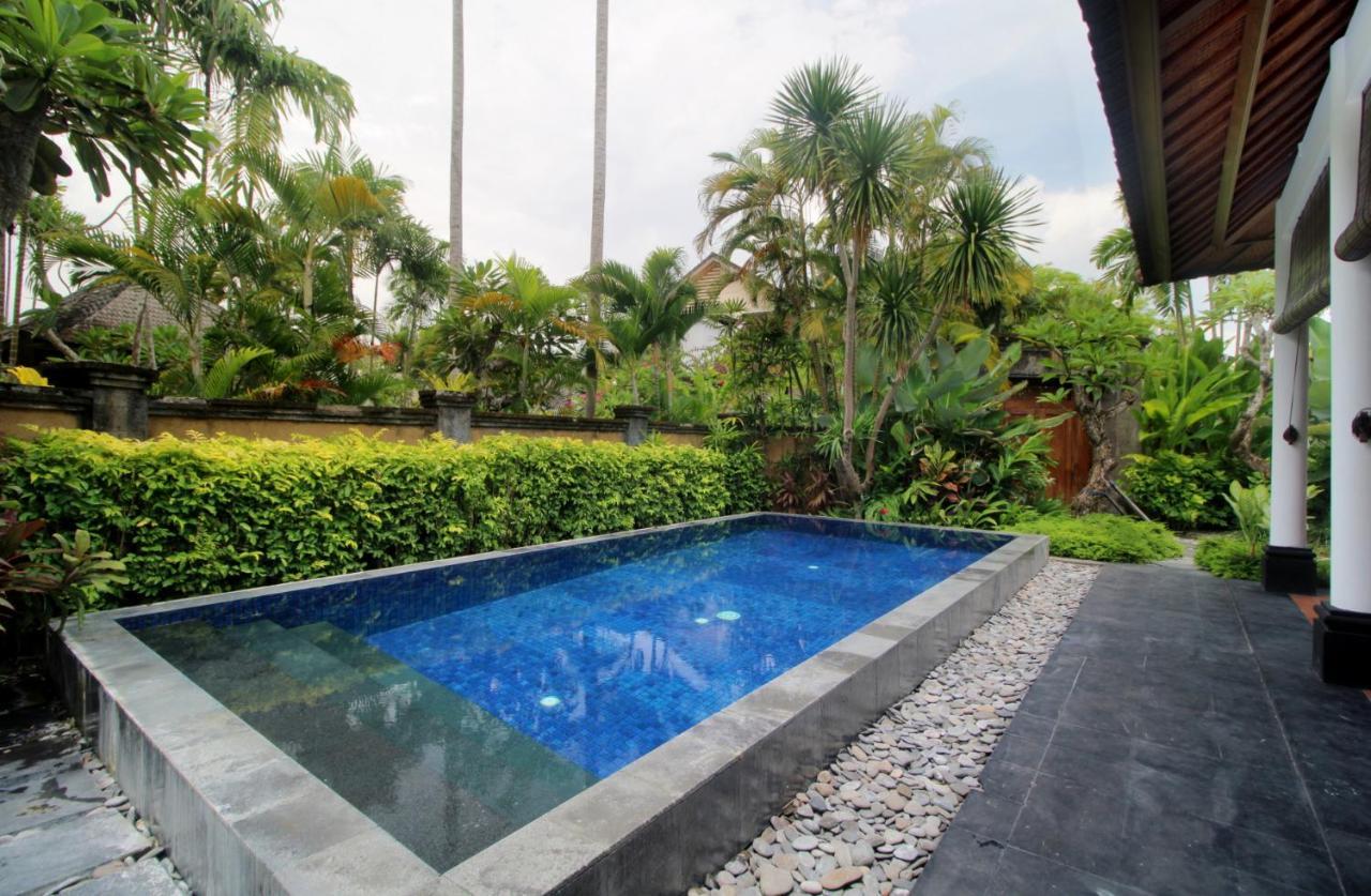 Villa 3 Chambres avec Piscine Privée