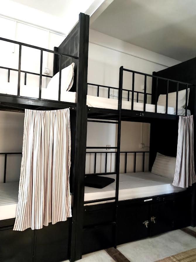 Bunk Bed Mixed Dormitory Room