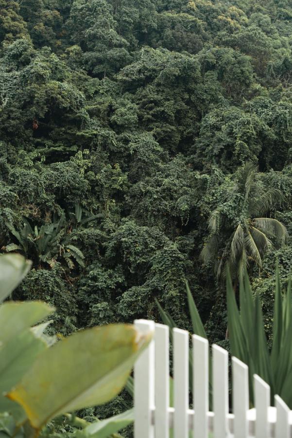Forest View Suite