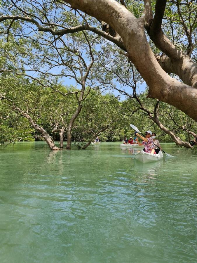 Superior Double Room,1417100196:JPEG