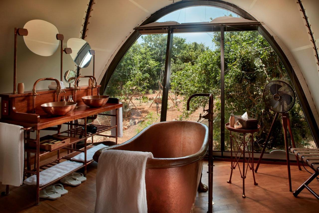 Family Cocoon Pool Suite with One Free Game Drive,1362197792:JPEG