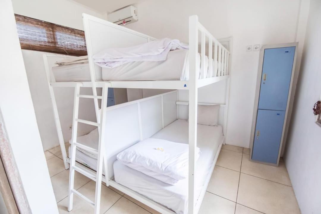 4-Bed Mixed Dormitory Room
