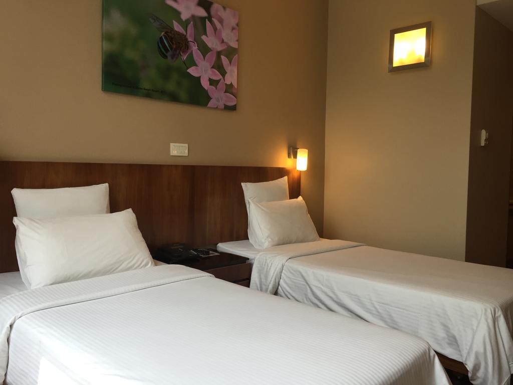 Superior Double or Twin Room,141096156:JPEG
