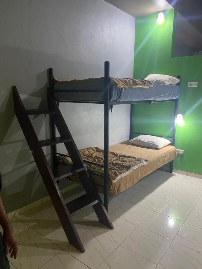Bunk Bed in Mixed Dormitory Room