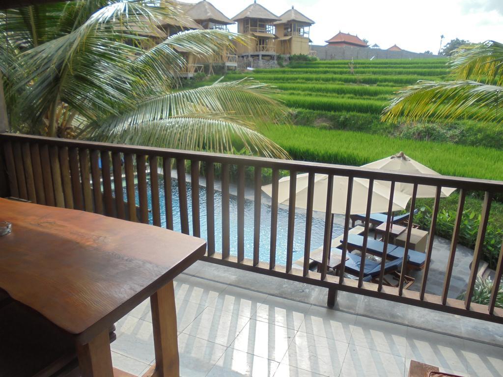 Deluxe Double Room with Pool View,377537866:JPEG