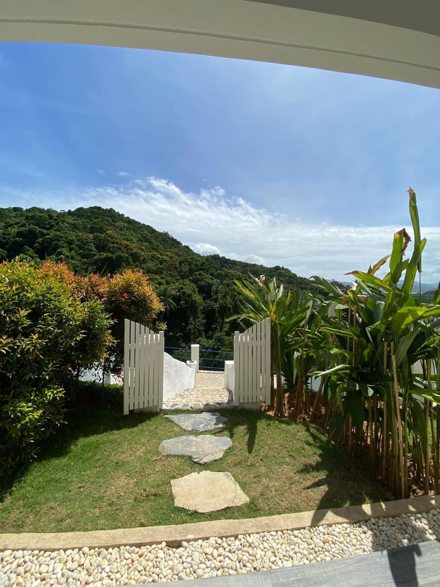 Forest View Suite