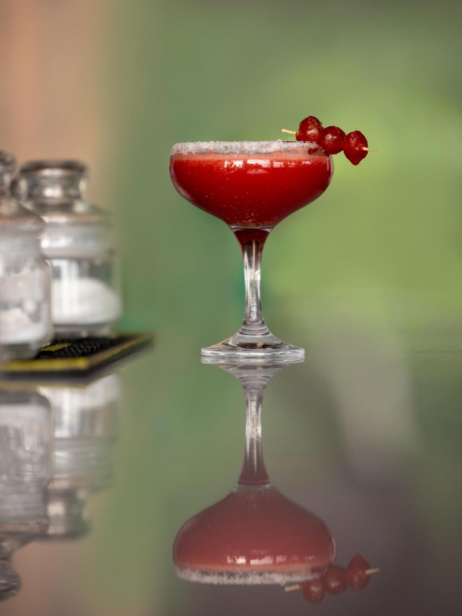 Turtle Signature Suite,1592888381:JPEG