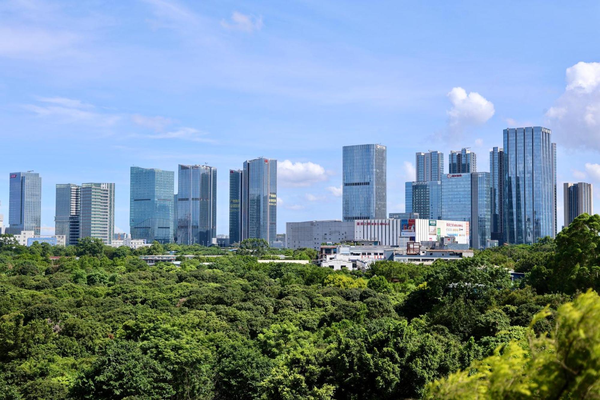 Comfort King Room,1600574555:JPEG