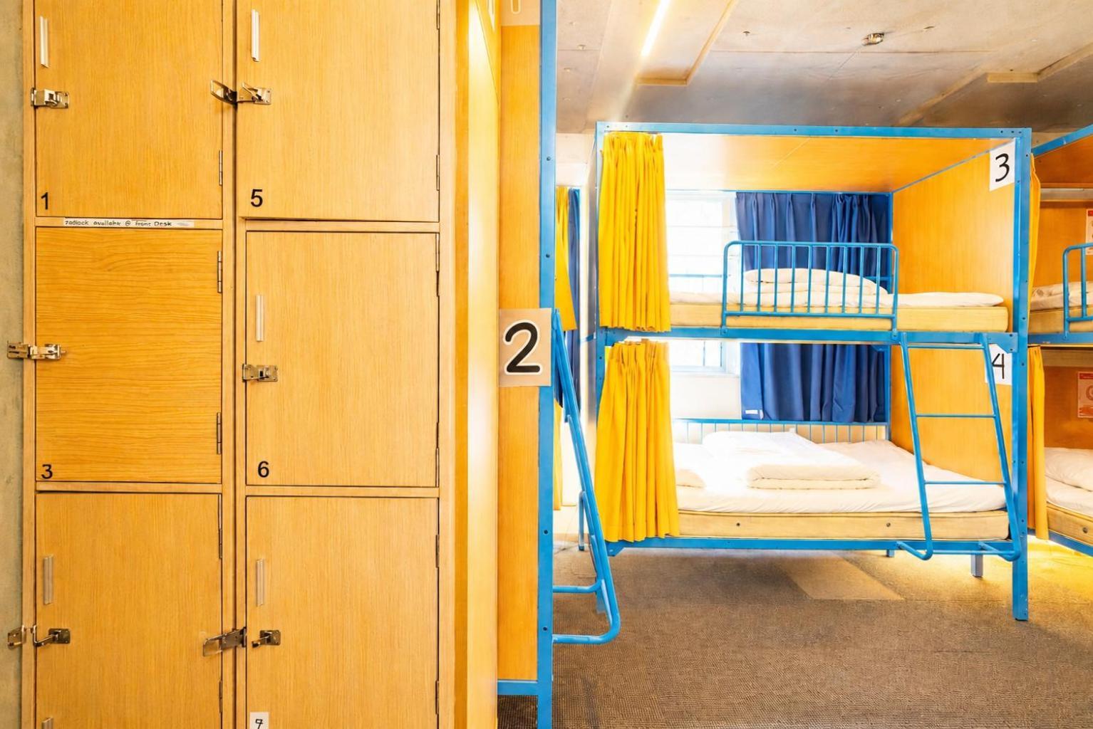 Bunk Bed Mixed Dormitory Room