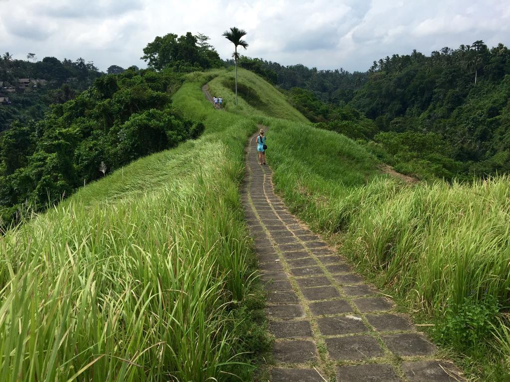 Wake up in Paradise Lebah Villa II Two-Bedroom Villa,379874500:JPEG