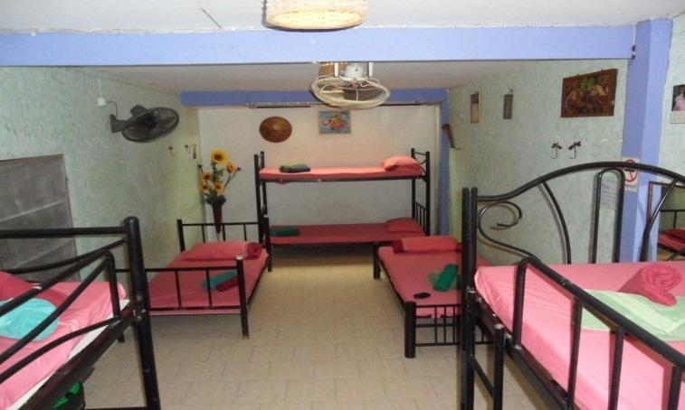 Bed in 8-Bed Mixed Dormitory Room,789579576:JPEG