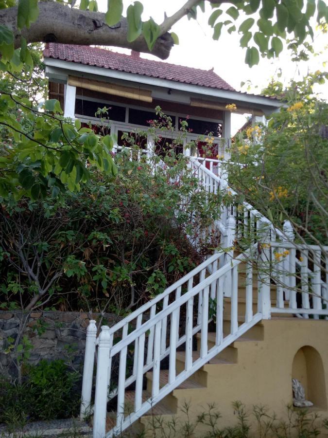 Bungalow with Sea View,943785544:JPEG