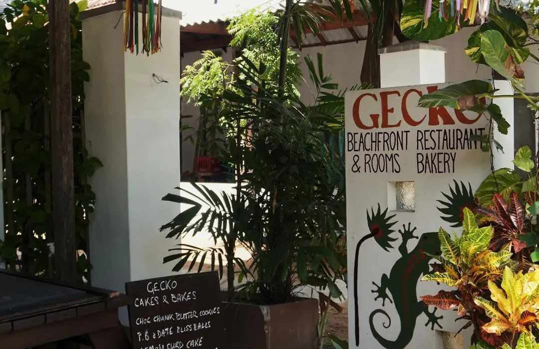 Gecko Restaurant & Rooms-1