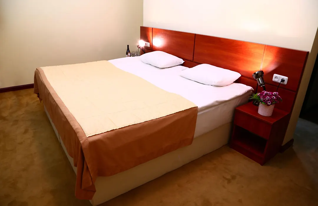 Ani Central Inn-1