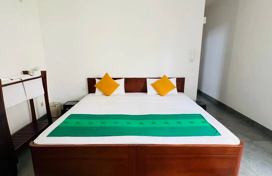 Vibe Colombo-1