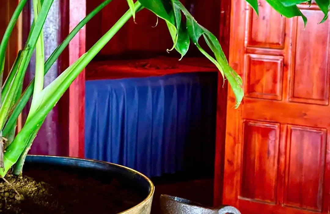 Sapa Rosie House & Spa - Mountain Retreat-1