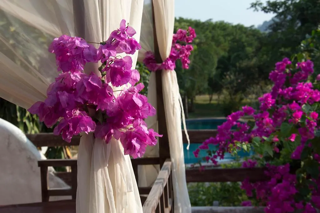 Le Flamboyant Resort-1