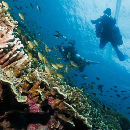 Cebu Seaview Dive Resort-3