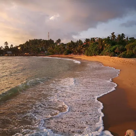 Turtle Bay Beach Resort-3