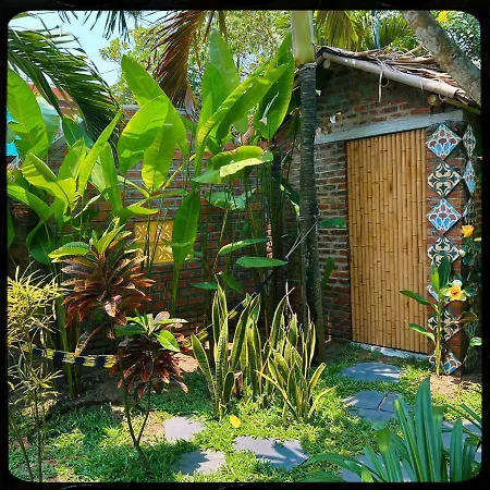 The Happy Bird B&B-3