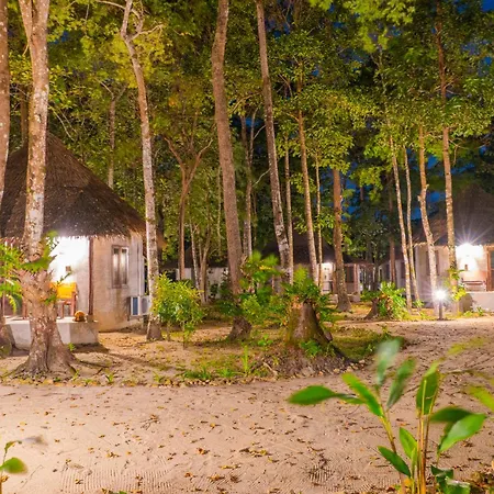 The Tropical Beach Resort-2
