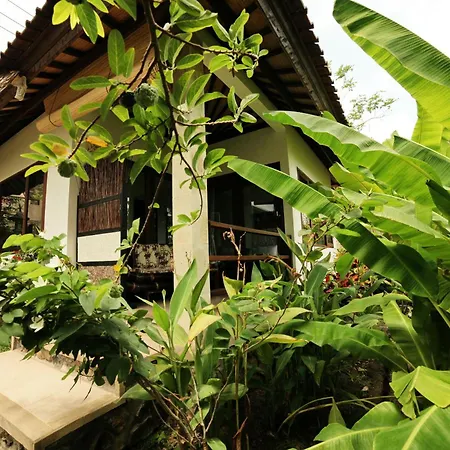 Bali Dream House-2