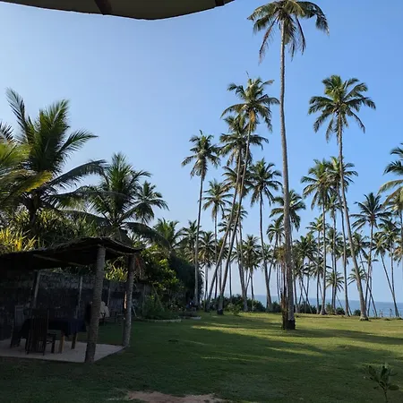 Coconut Tree Hill Rekawa-2