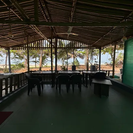 Beach Hive-3