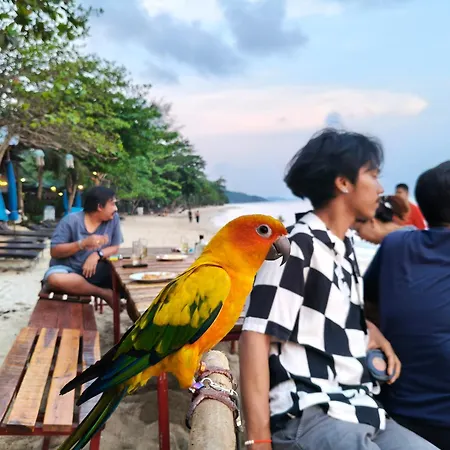 Yuyu Golden Beach-3