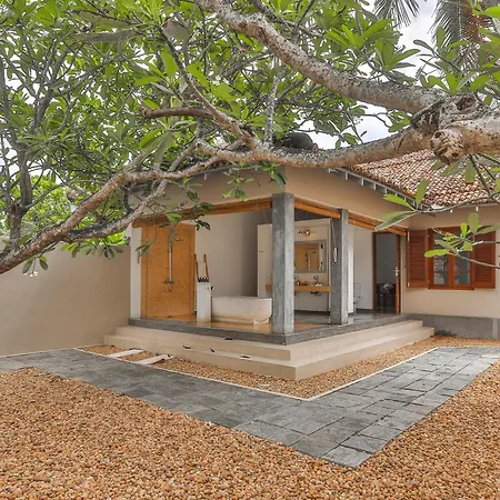 The Frangipani Tree By Edwards Collection - Thalpe-2