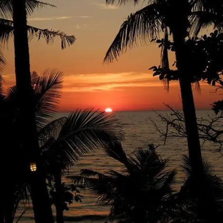 Paradise Palms-2