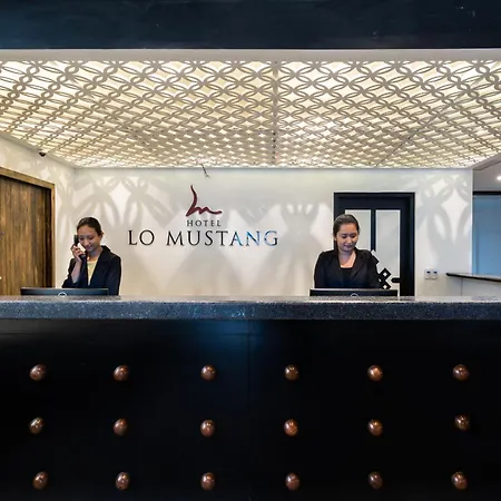 Hotel Lo Mustang-3