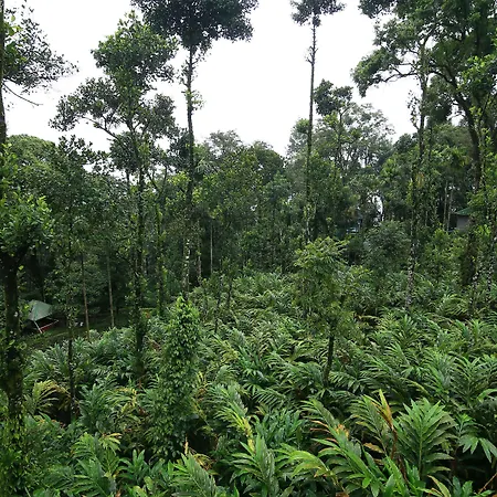 Spice Jungle Resort-3