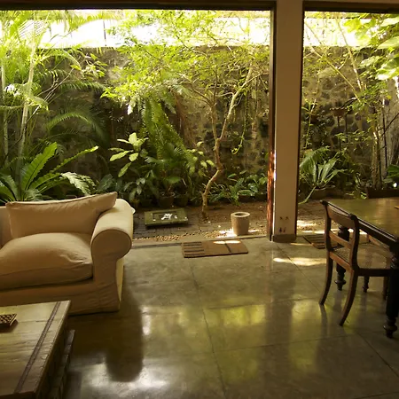Mount Lodge Boutique Hotel-2