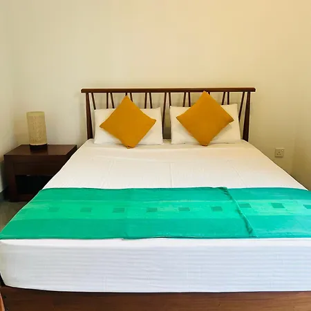 Vibe Colombo-3