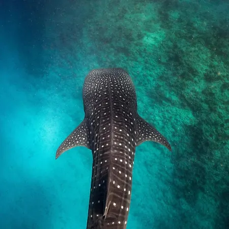 Nova Maldives-3