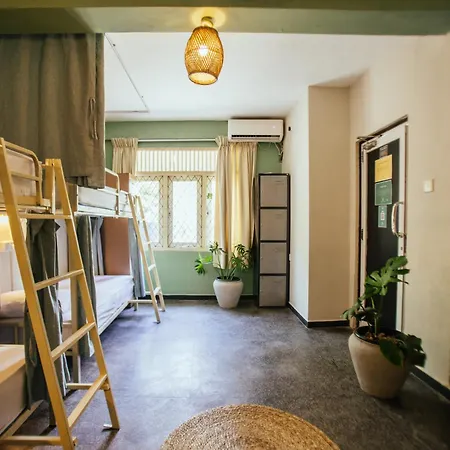 Drop Inn Hostels-2