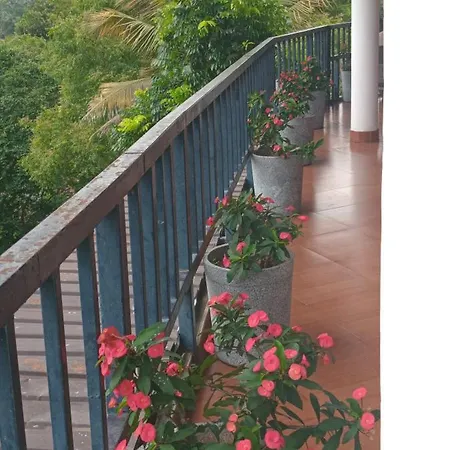 Blue Haven Hotel-3