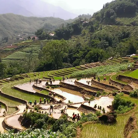 Eco Palms House - Sapa Retreat-3