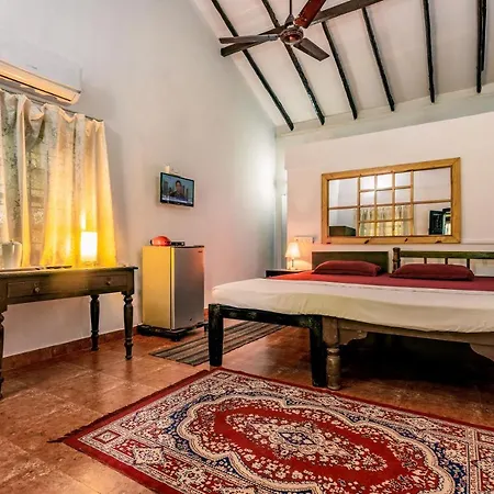 Rodrigues Guest House-3