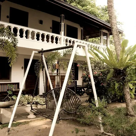 Happy Banana Hotel-2
