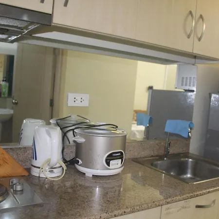 Chateau Elysee A14 Near Airport Wifi Kitchen-2
