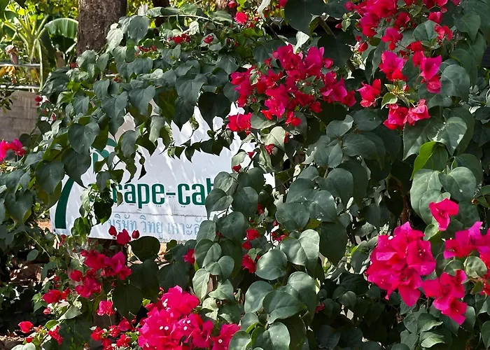 Escape-Cabins
