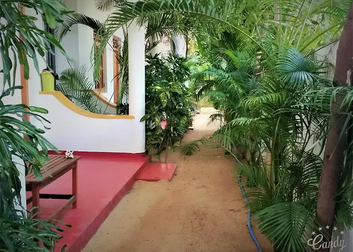 Surf & Sand Hotel Arugambay Baie d'Arugam