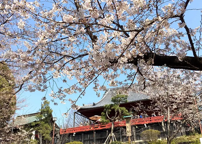 Art Hotel Nippori Lungwood Tokyo