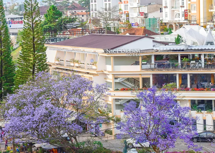 Nice Dream Hotel Da Lat