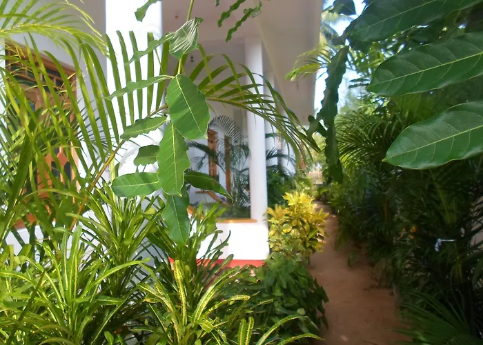 Surf & Sand Hotel Arugambay Baie d'Arugam